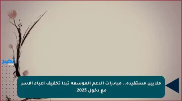 ملايين مستفيدة.. مبادرات الدعم الموسعة تبدأ تخفيف أعباء الأسر مع دخول 2025.